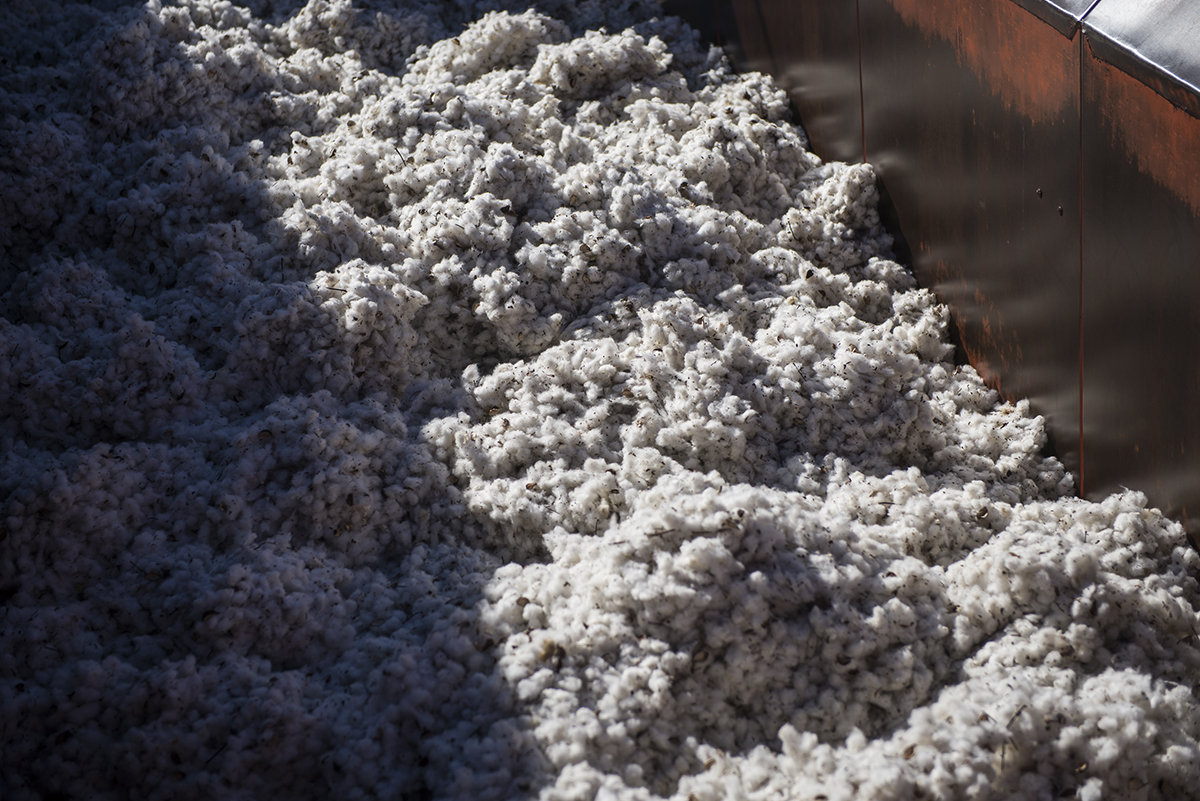 The United States ranks third in total cotton production behind China and India, according to the U.S. Department of Agriculture. The USDA forecasts U.S. cotton production will decrease in the 2018/19 season and that consumption will exceed production.